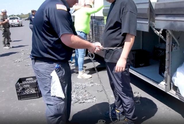 미국 ESTA 입국 심사 거절 피하는 최신 대응 체크리스트